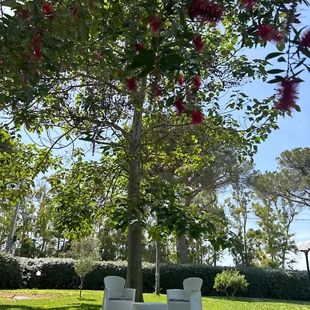 Holiday home La Palma Alghero