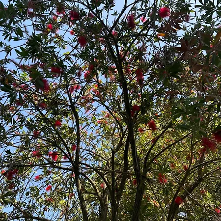 La Palma Holiday home