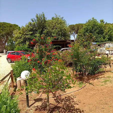 La Palma