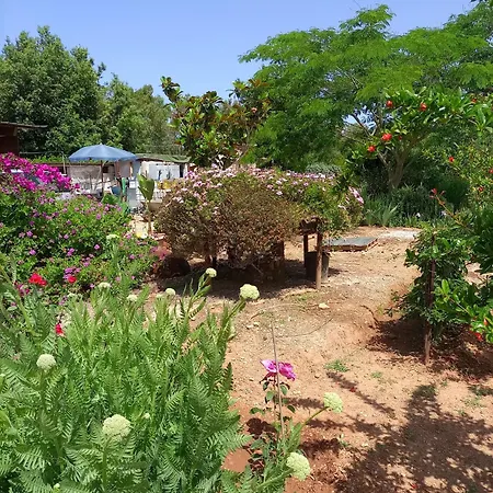 La Palma Feriehus *
