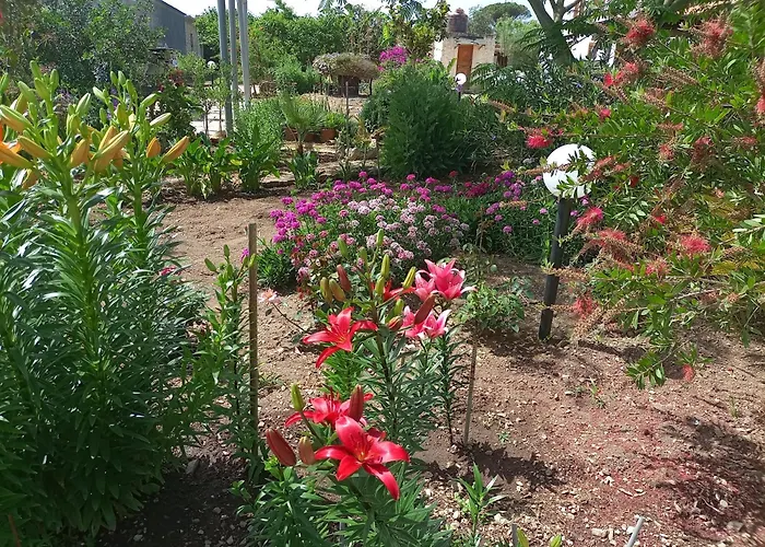 La Palma Dom wakacyjny *